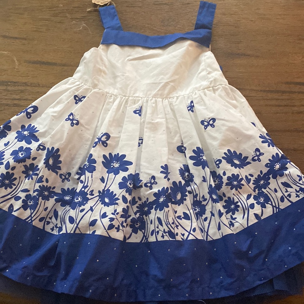 Royal Blue Dress